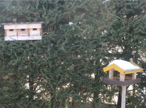 Spatzenburg und Vogelhaus