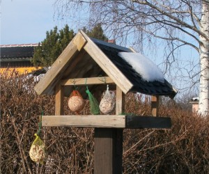 Vogelhaus vor dem Vereinsheim